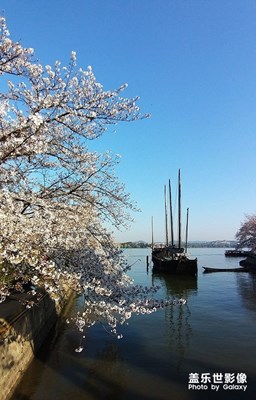 [角度与视觉]+春到太湖