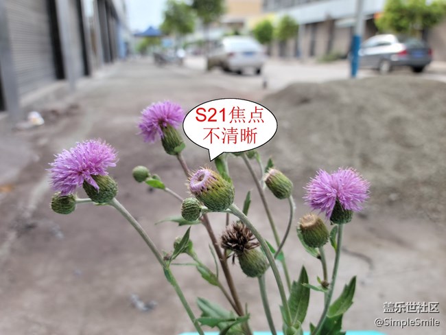 我想问一下S21小杯的机友，你们的相机有对焦有问题吗?