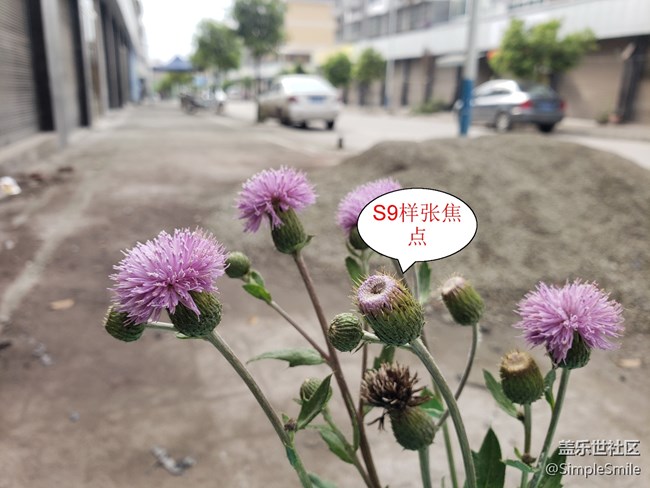 我想问一下S21小杯的机友，你们的相机有对焦有问题吗?