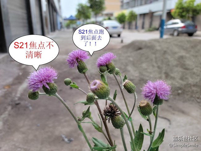 我想问一下S21小杯的机友，你们的相机有对焦有问题吗?