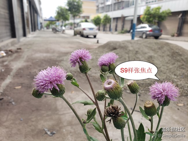 我想问一下S21小杯的机友，你们的相机有对焦有问题吗?