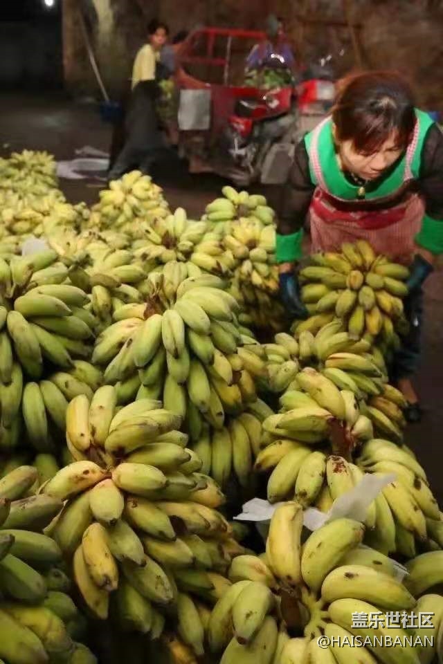 【我的五一生活】