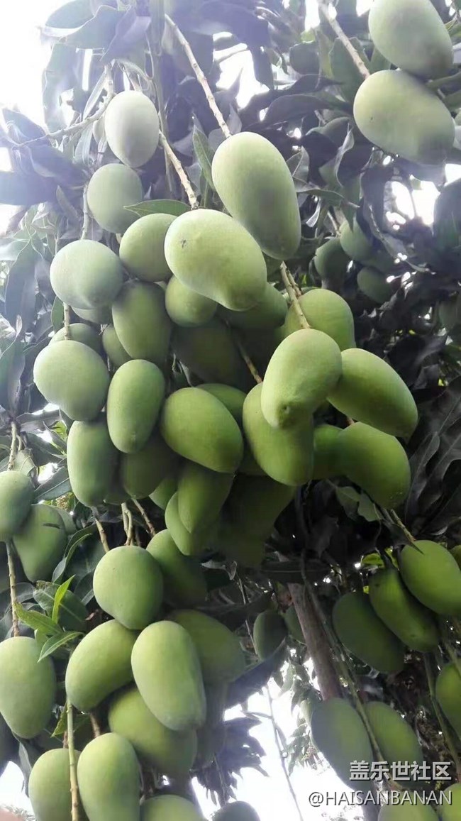 【我的五一生活】