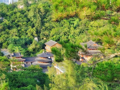 登高望远