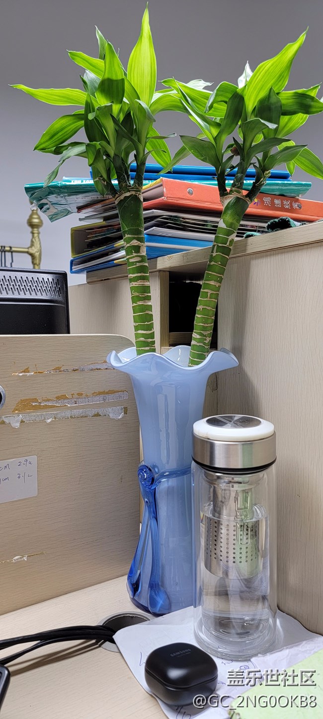 荔枝红了
