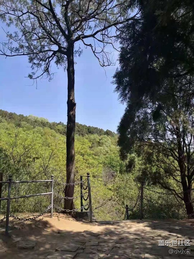 #北京网红打卡地#银山塔林