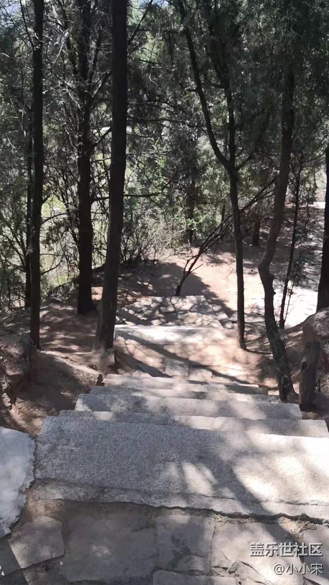 #北京网红打卡地#银山塔林