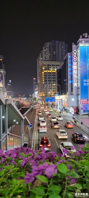 花蔓羊城，夜色浓