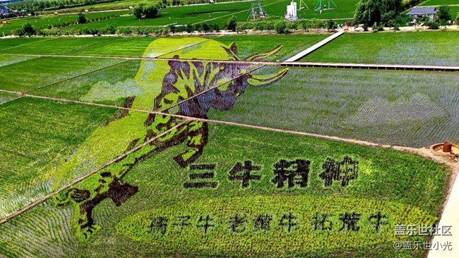 2021年沈阳星部落摄影活动之“稻梦空间”