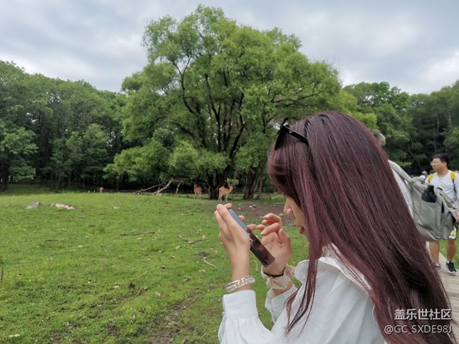 鹿苑回顾帖 鹿苑回顾帖