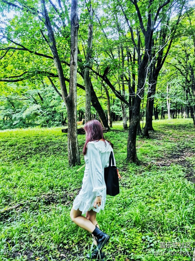 鹿苑回顾帖 鹿苑回顾帖