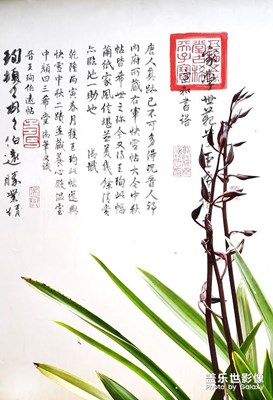 书法与兰花