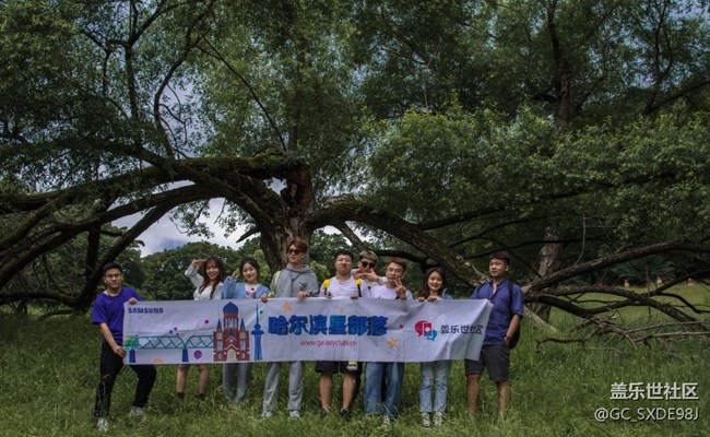 鹿苑回顾帖 鹿苑回顾帖