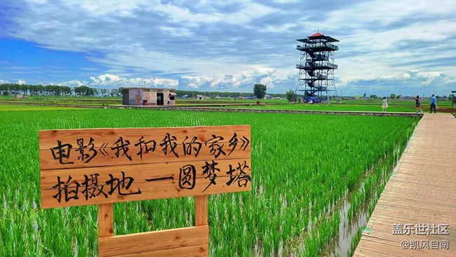 沈阳星部落稻梦空间线下摄影活动回顾