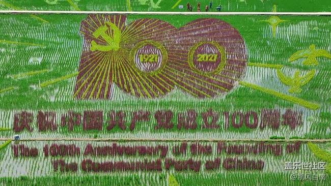 沈阳星部落稻梦空间线下摄影活动回顾