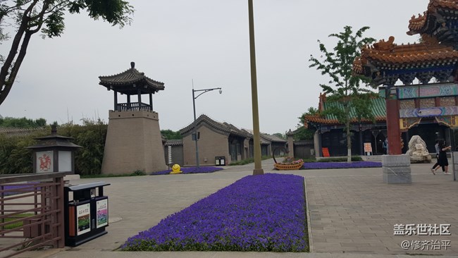 #北京网红打卡地——大运河通州森林公园