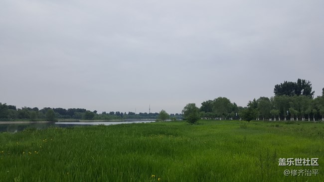 #北京网红打卡地——大运河通州森林公园