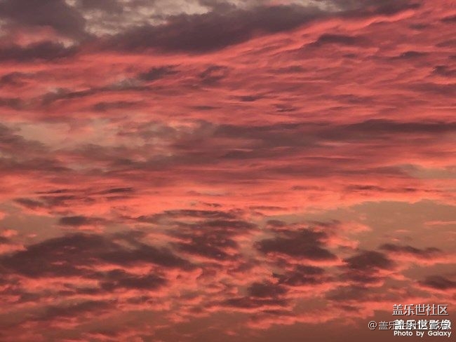 《每周星鲜事》 第71期
