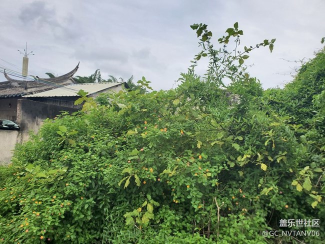 note10+风景照