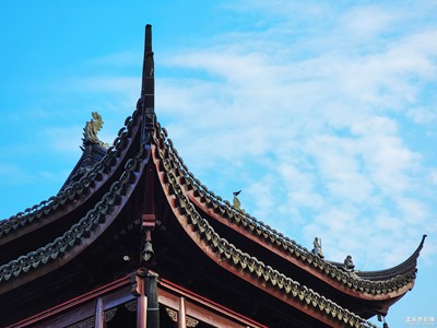 【瞬间精彩】+凭高远望