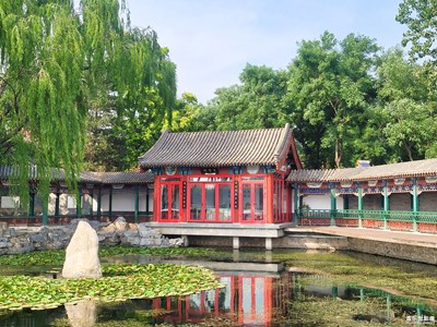 已开奖【盖乐世影像周赛第199期】——夏了夏天