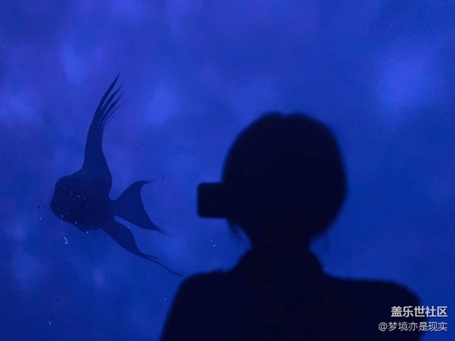 【这里是】＋上海海昌海洋公园
