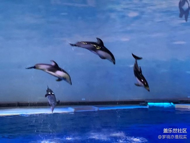 【这里是】＋上海海昌海洋公园