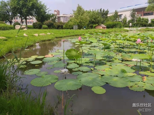 【这里是】＋俺们学校