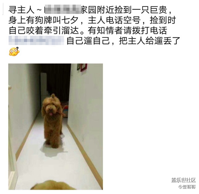 已开奖【宠物7月第四期】经历过宠物走丢，或者失而复得？