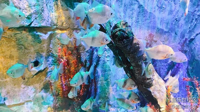 沈阳星部落畅游海底世界
