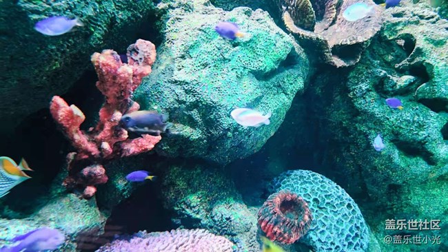 沈阳星部落畅游海底世界