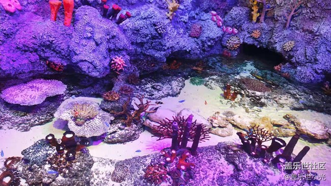 沈阳星部落畅游海底世界