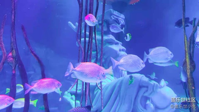 沈阳星部落畅游海底世界