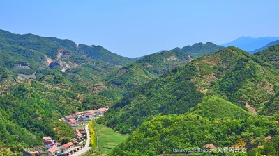 已开奖【盖乐世影像周赛第200期】——不负美好