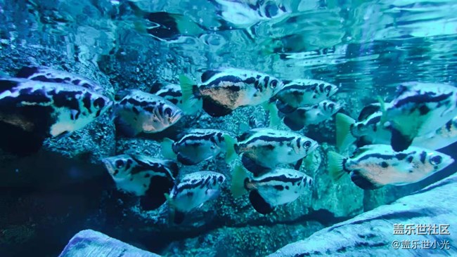 沈阳星部落畅游海底世界