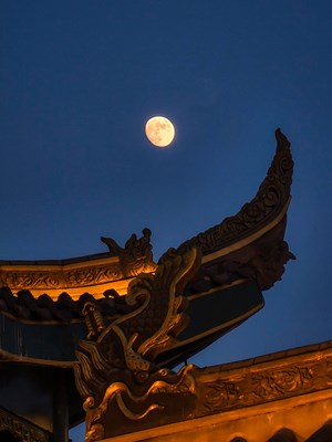 [不负美好]＋12，13夜