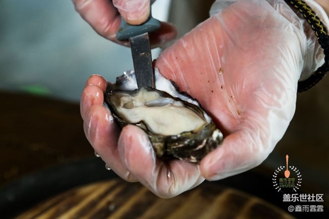 这六种生蚝,不要说吃过,你可能连名字都叫不上来! 这六种生蚝,不要说吃过,你可能连名字都叫不上来!