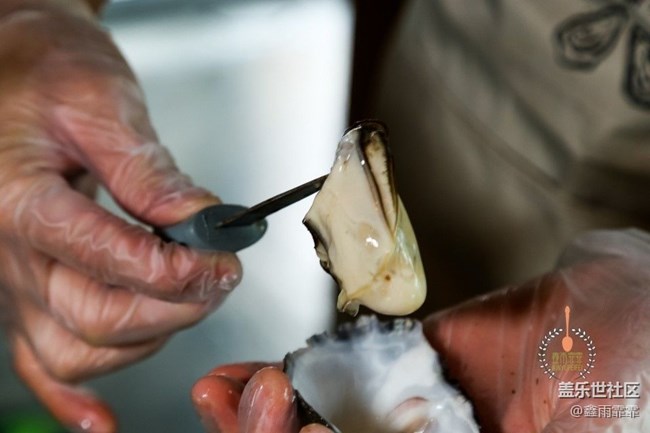 这六种生蚝,不要说吃过,你可能连名字都叫不上来! 这六种生蚝,不要说吃过,你可能连名字都叫不上来!