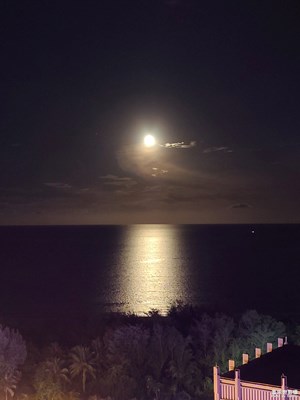 【魅力夜晚】+星月神话