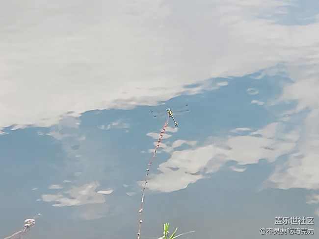 【回顾】2021.7.25长沙星部落线下摄影活动