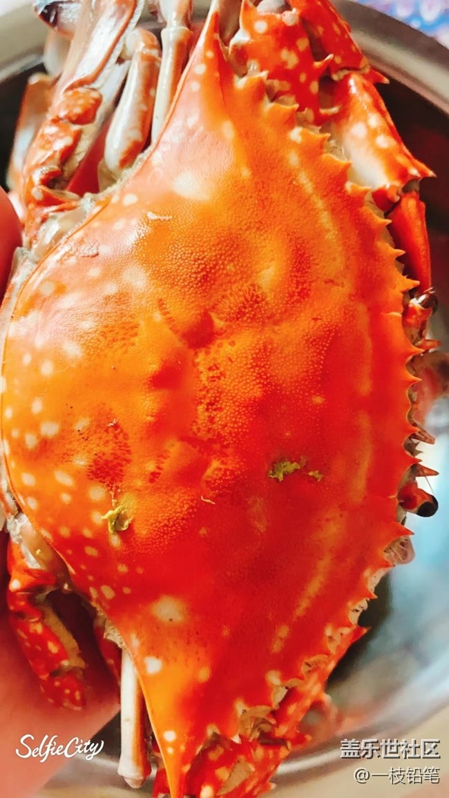 【精致生活】大螃蟹