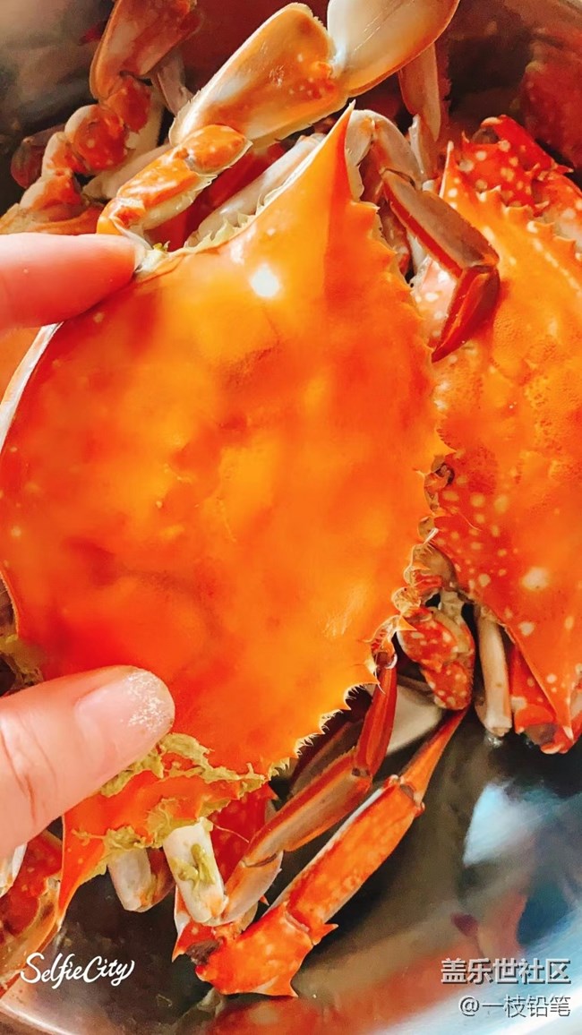 【精致生活】大螃蟹