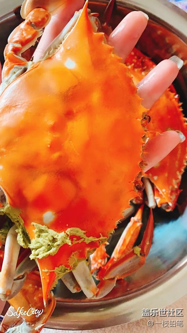 【精致生活】大螃蟹