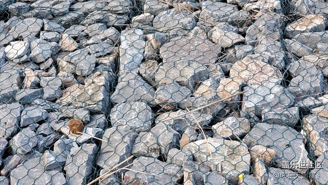 【精致生活】+公园小憩