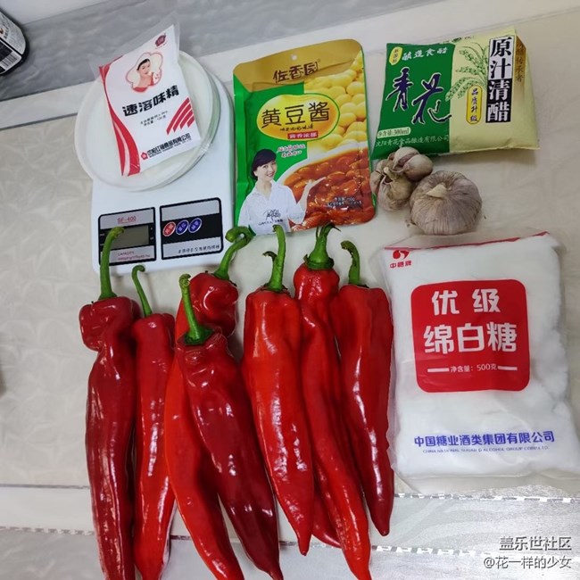 {精致生活}自作辣椒酱