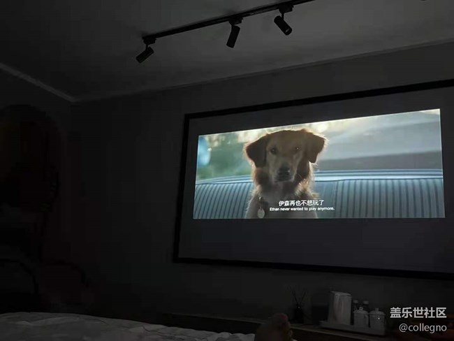 【暑期日常分享】