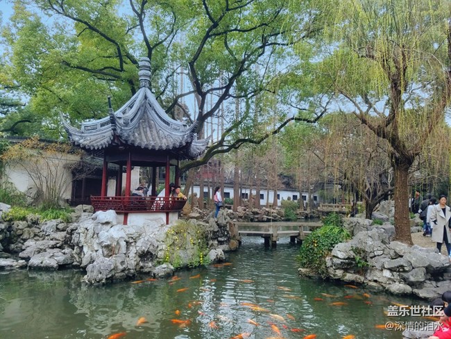 #打卡上海——豫园