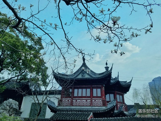 #打卡上海——豫园