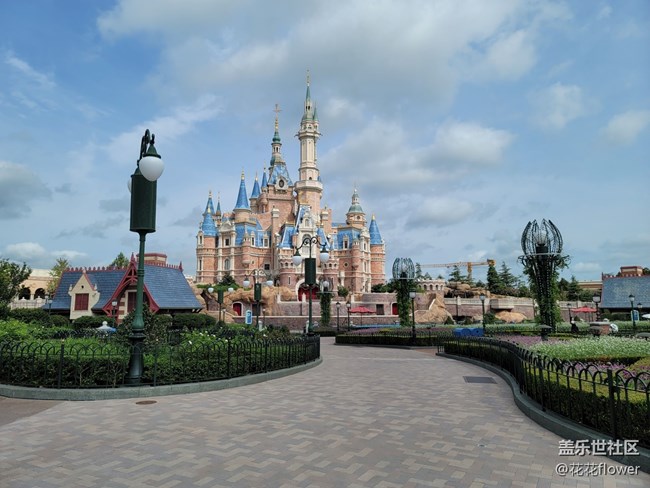 #打卡上海——小飞象