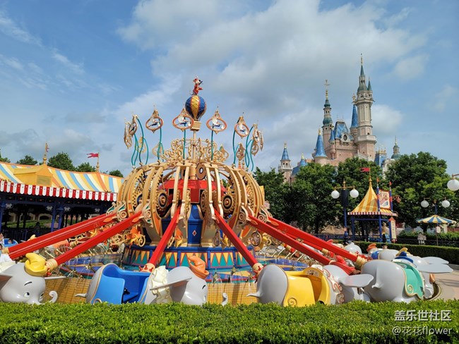 #打卡上海——小飞象